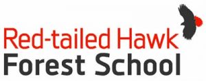 red tailed hawk school